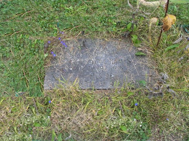 plaques\lot96_1.jpg